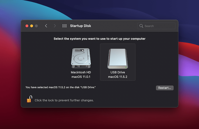 Choosing a startup disk.