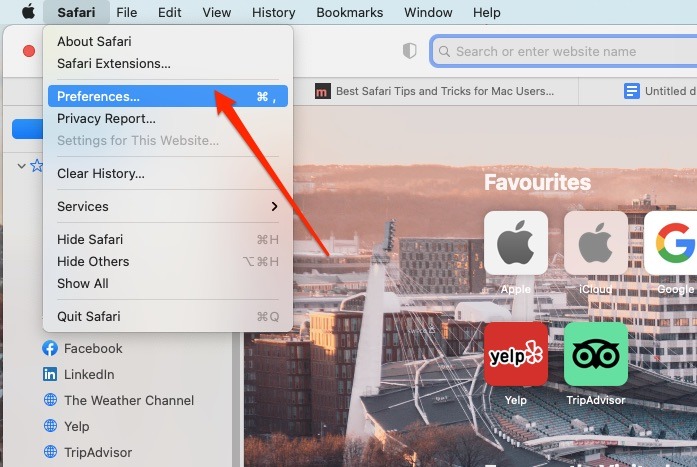 Safari Preferences On Mac