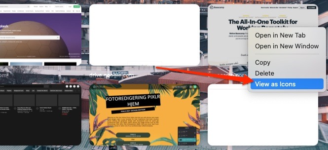 Safari View As Icons