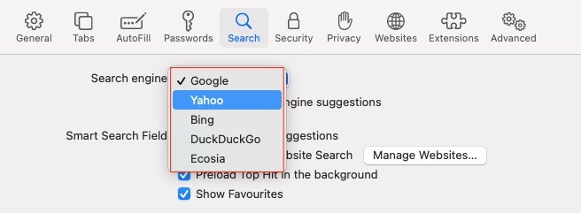 Search Engine Options Safari