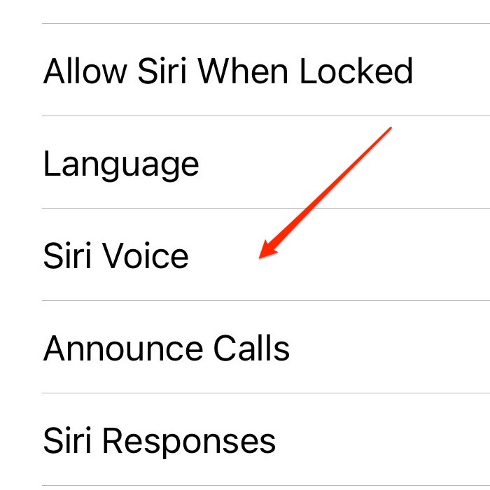 Siri Voice Iphone Settings