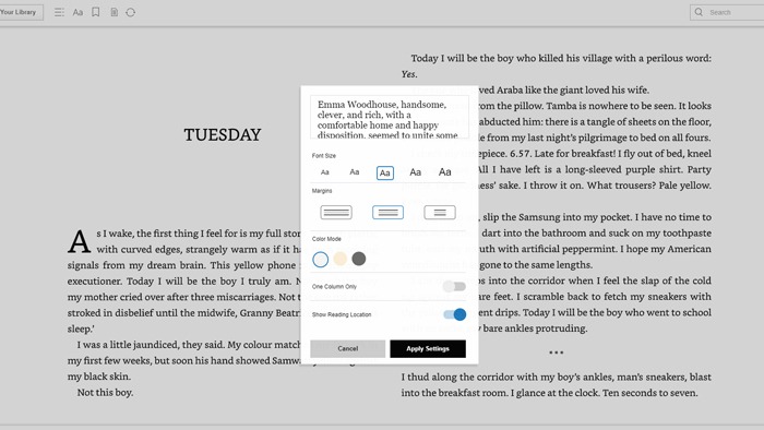 What Is Kindle Cloud Reader Settings