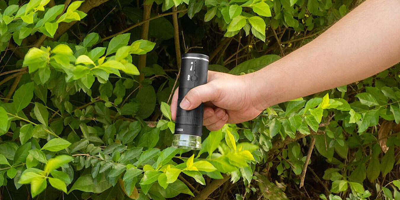 Ankylin Wireless Digital Microscope Featured