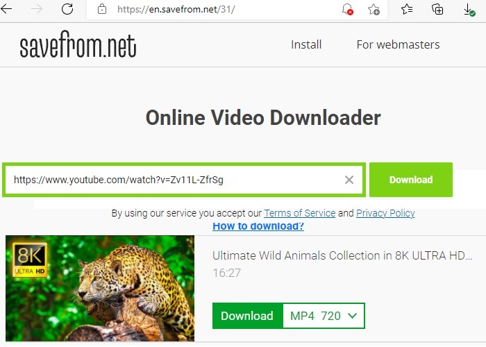 Best Video Downloaders Savefrom