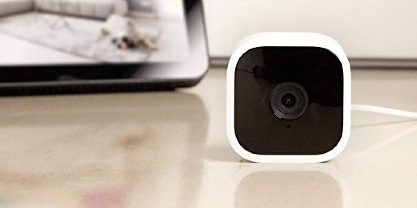 Pet Parent Starter Kit Featured