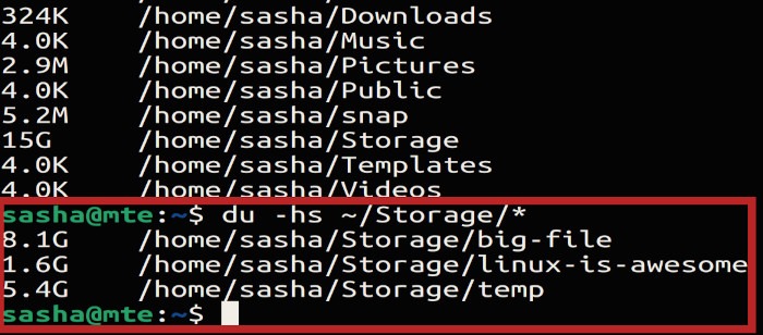 Du Storage