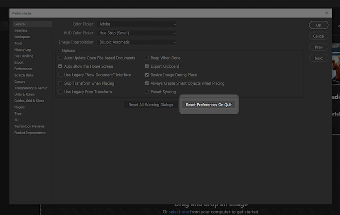The Reset Preferences on quit button.