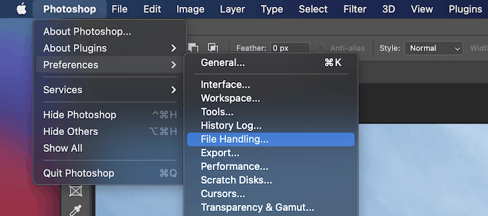The File Handling link on macOS.
