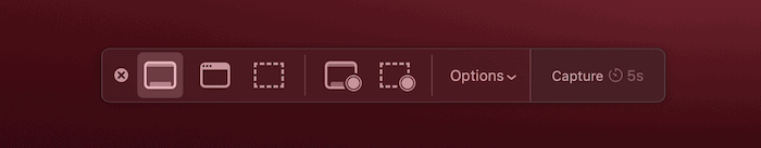 The macOS Screenshot toolbar.