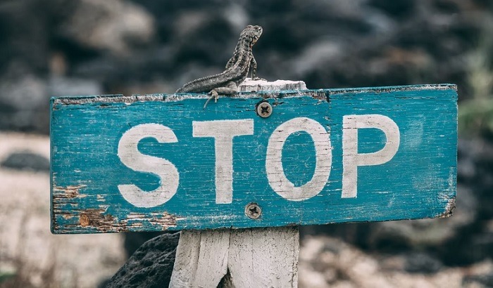 Venmo Vs Zelle The Best Digital Wallet To Send Money Easily Limits