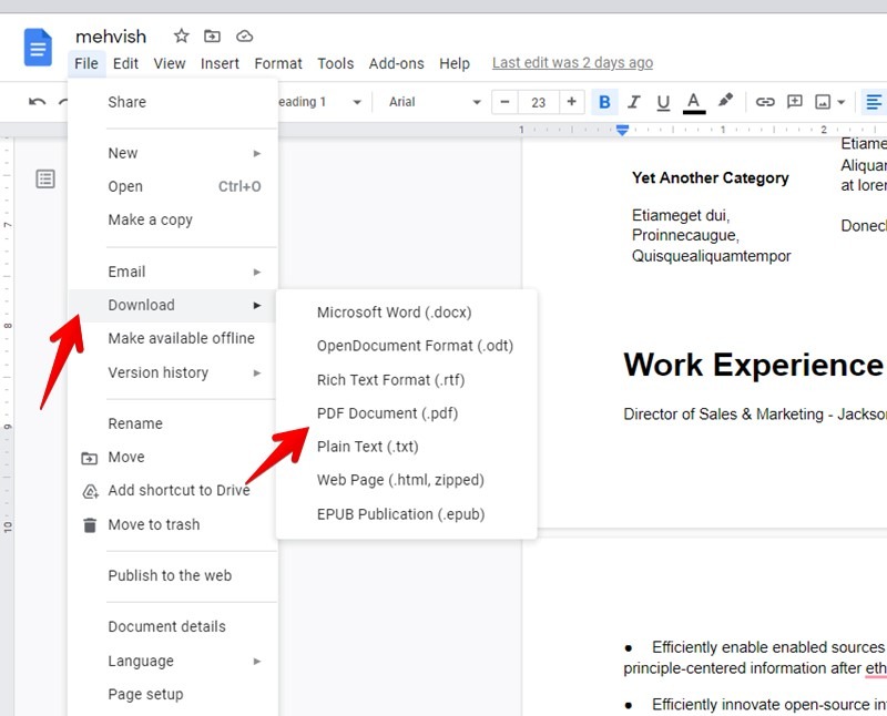 Google Docs Resume Share Pdf
