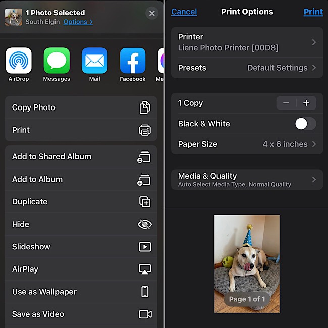 Liene Photo Printer Share Print