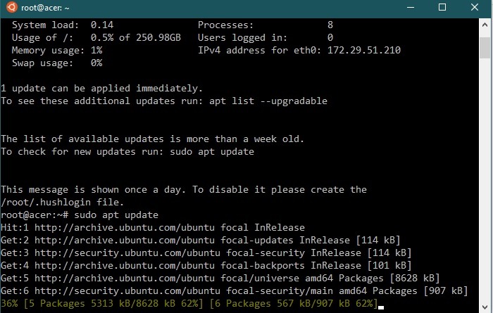 Wsl Install Sudo Apt Update Continued
