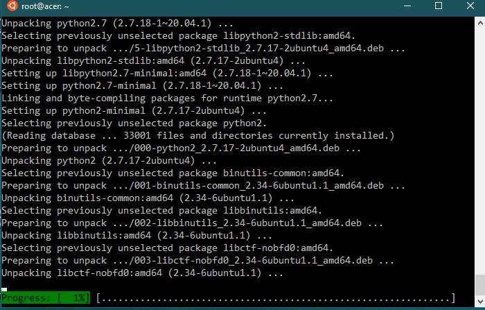 Wsl Install Sudo Install Progressing