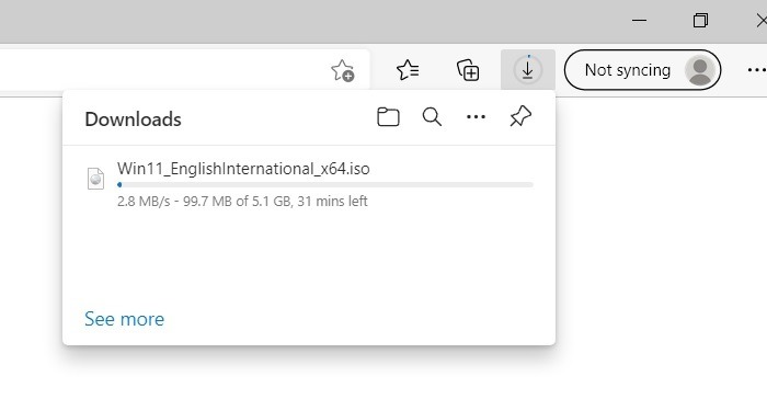 Windows11 Install Iso Downloading