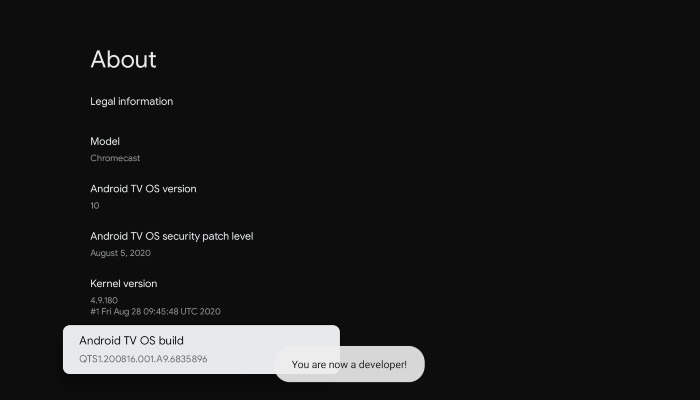 Chromecast Enable Developer
