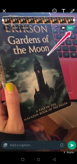 Create Boomerang Videos Whatsapp Share As Gif