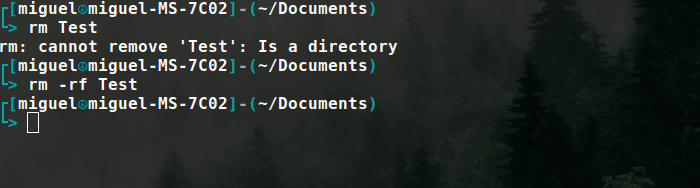 Deletefolder Success