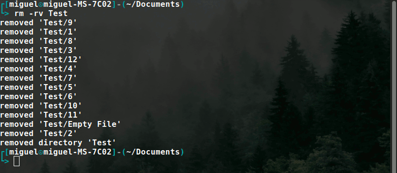 Deletefolder Verbose