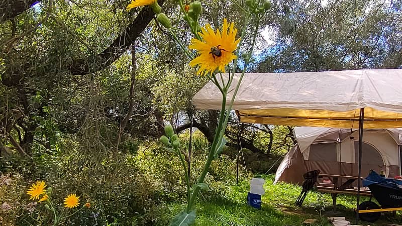 Redmagic 6s Pro Review Camera Shot