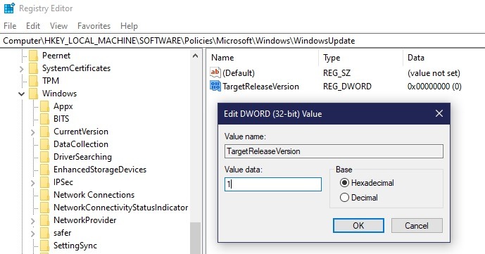 Things To Do Before And After Installing Windows 11 Registry Dword 1