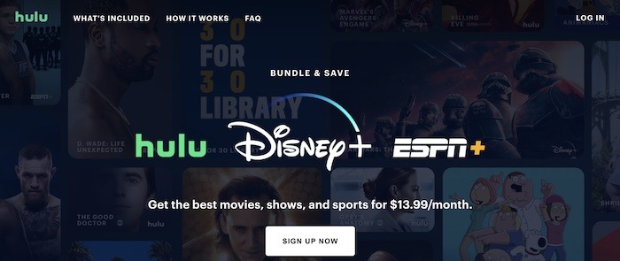 What You Need Disney Plus Bundle
