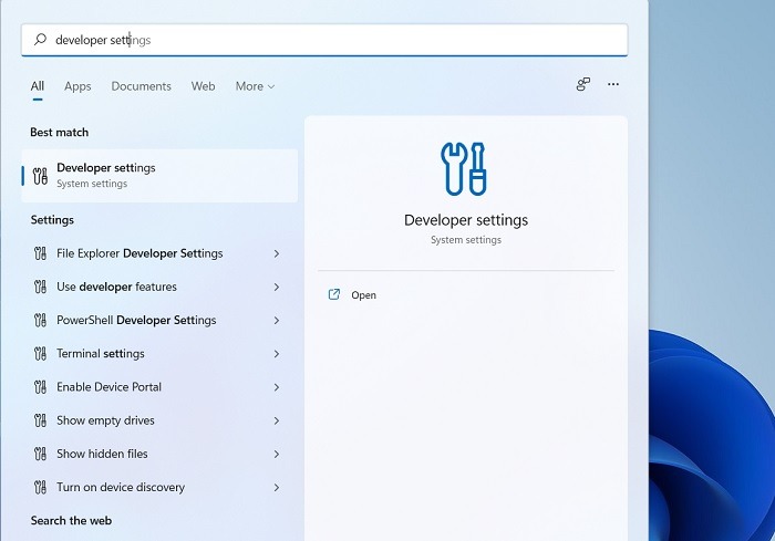 Google Play Windows11 Developer Settings