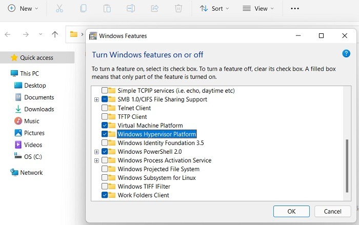 Google Play Windows11 Enable Features