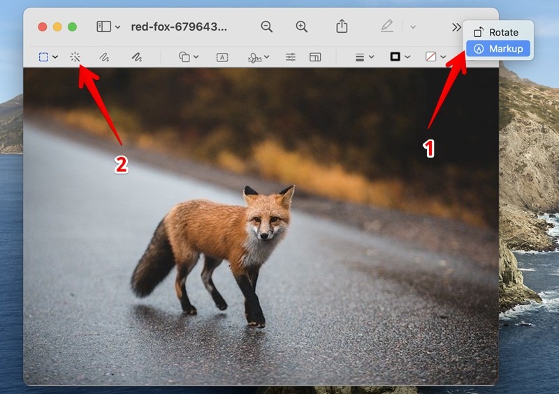Make Image Transparent Background Mac Instant Alpha
