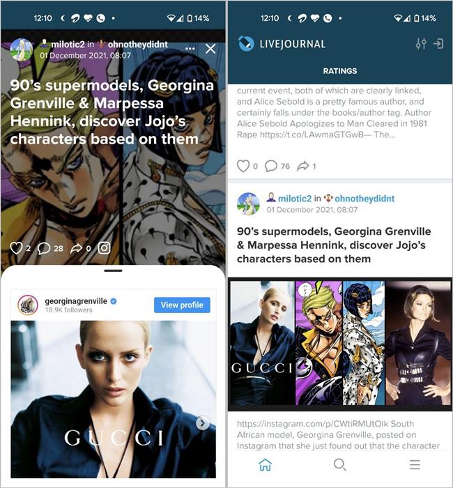 Video Dairy Life Journal