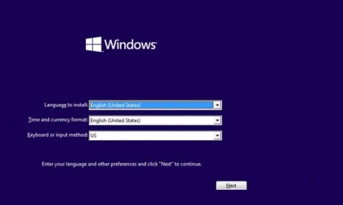 Win11 Without Microsoft Installation