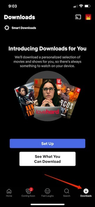 Download Netflix Content Offline Ios Downloads