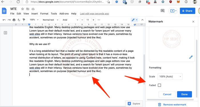 Google Docs Watermark Settings 1