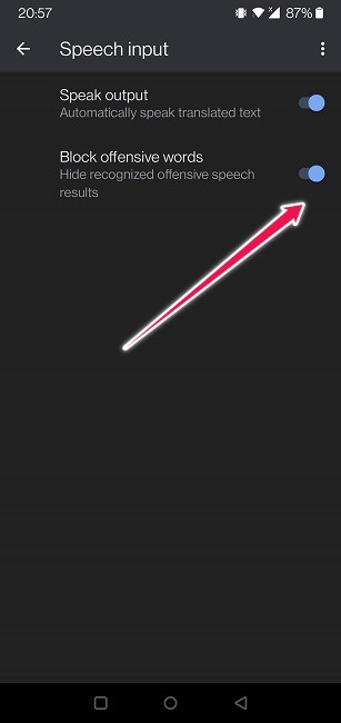 Google Translate Guide Mobile Block Offensive Words