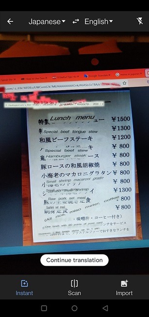 Google Translate Guide Mobile Partial Translation