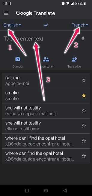 Google Translate Guide Mobile Set Languages