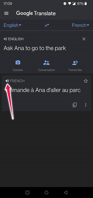 Google Translate Guide Mobile Voice Pronounciation