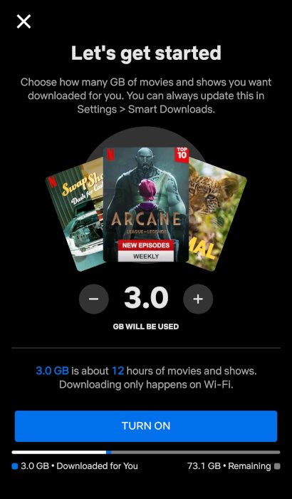 Netflix Smart Downloads Storage Configuration