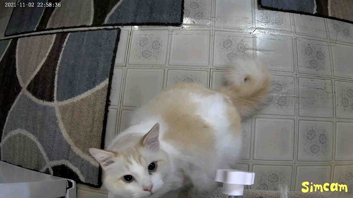 Simshine Baby Pro Smart Baby Monitor Review Audio