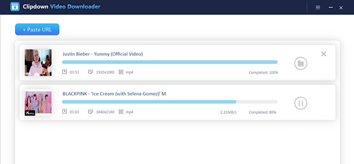 Clipdown Video Downloader Software