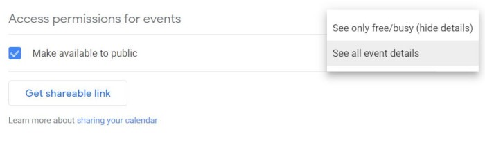 Google Calendar Make Public