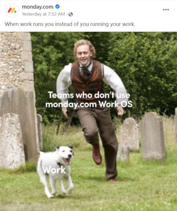 Social Media Posts Curated Content