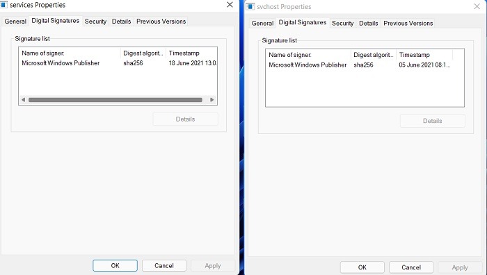 Windows Processes Look Malware Digital Signature Windows112