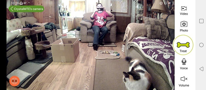 Cengcen Pet Camera Treat Dispenser Review Camera