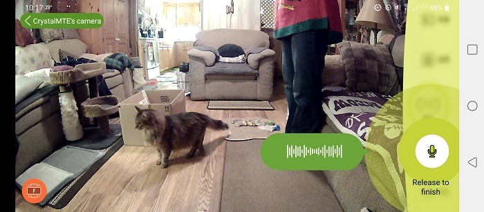 Cengcen Pet Camera Treat Dispenser Review Surprised