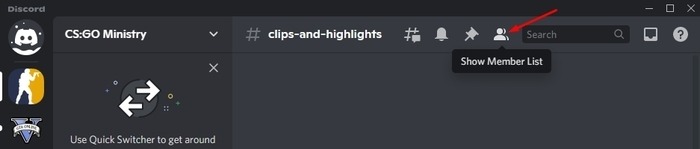 Discord Show Member List