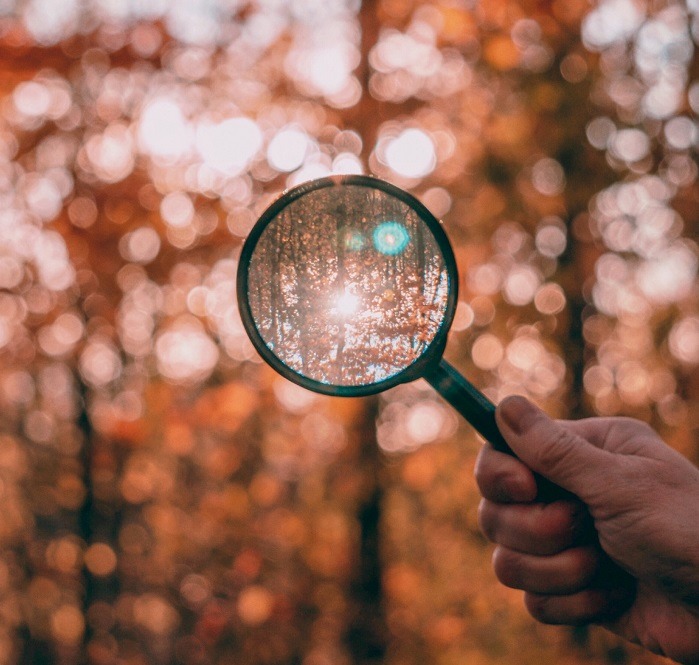 How To Win At Instagram Search Find