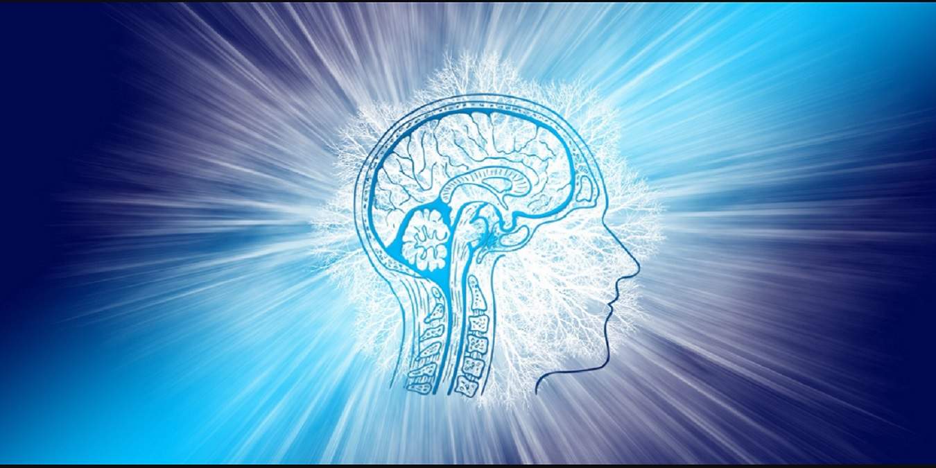 Interesting Websites To Feed Your Brain Featured