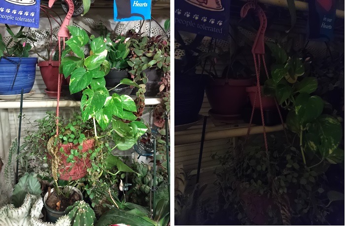 Orbic Myra 5g Smartphone Review Photos