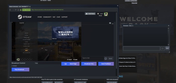 Steam Vs Epic Steam Settings Broadcast In Game Status Live